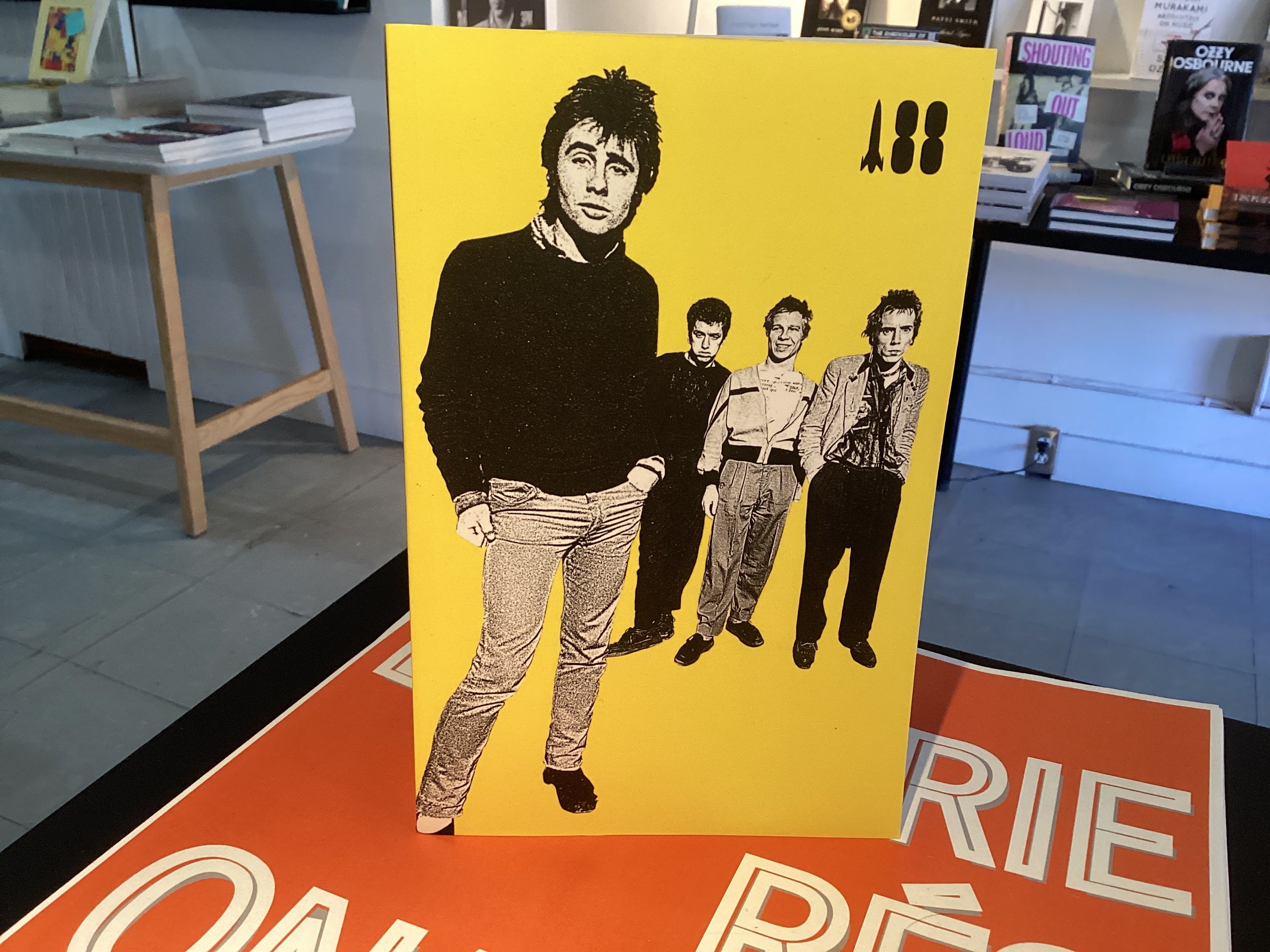 I Was a Teenage Sex Pistol