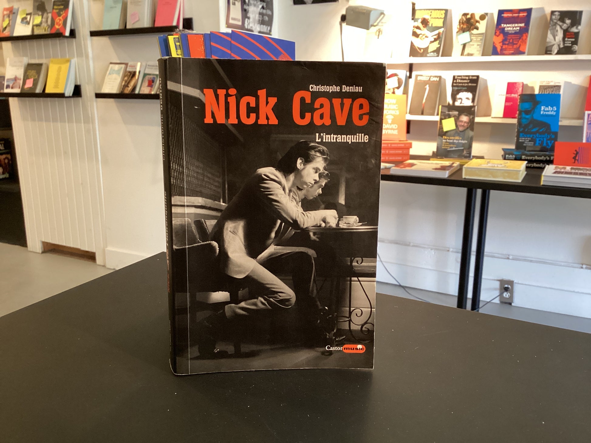 Nick Cave L'Intranquille