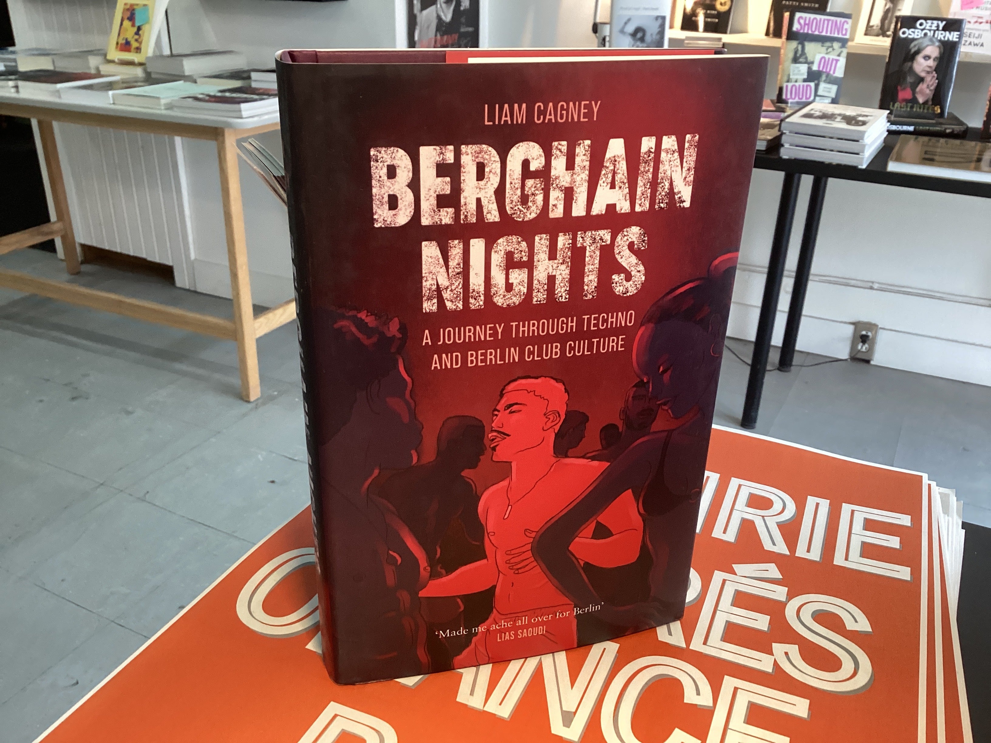 Berghain Nights: A Journey through Techno and Berlin Club Culture