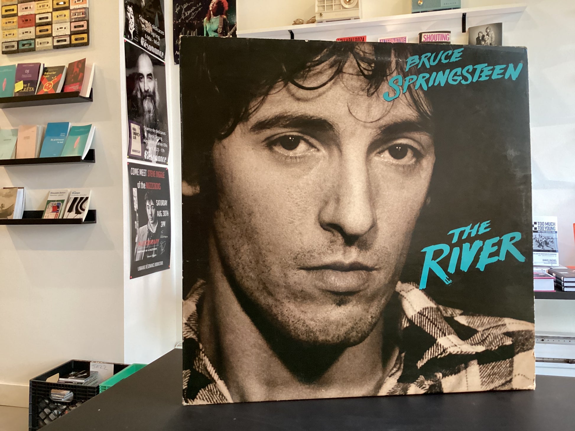 Bruce Springsteen - The River