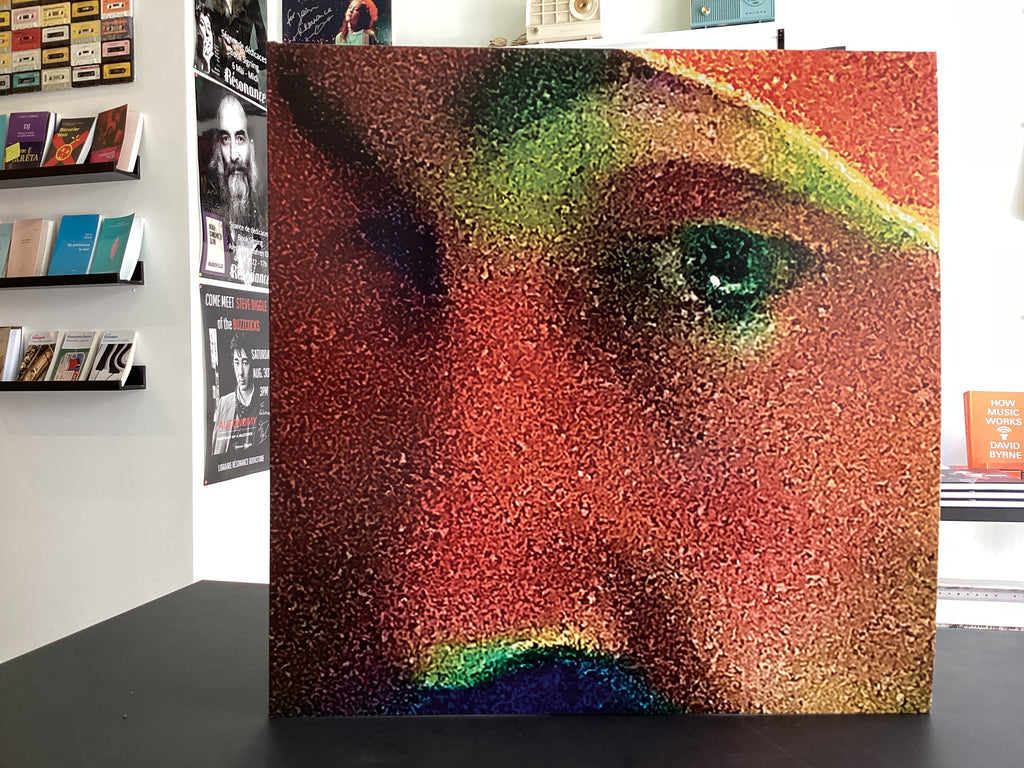 Embo/Phlébite J'Écoute avec mes yeux
