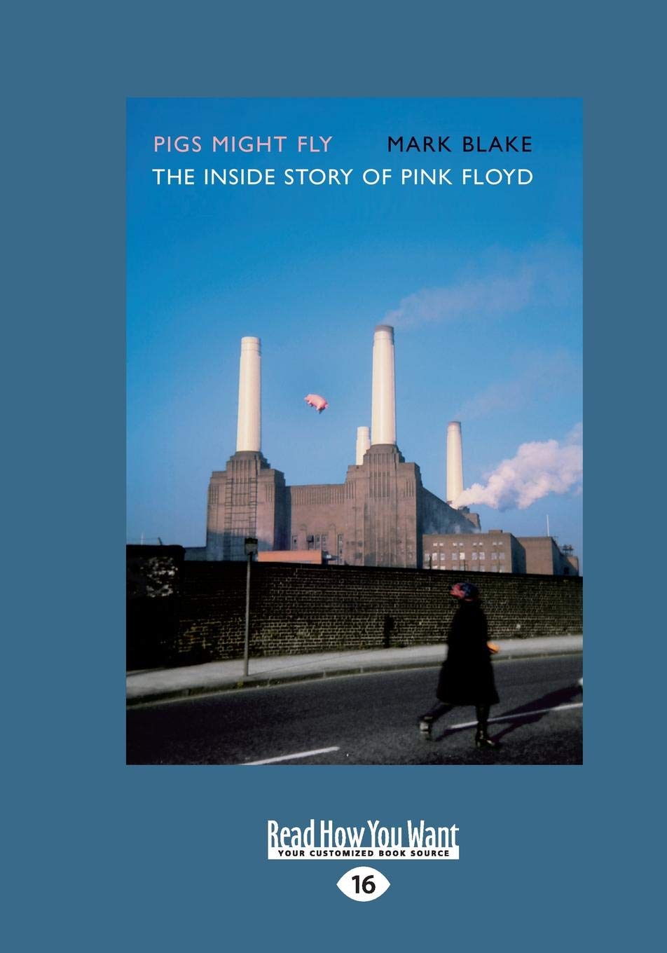 Pigs Might Fly: The Inside Story of Pink Floyd