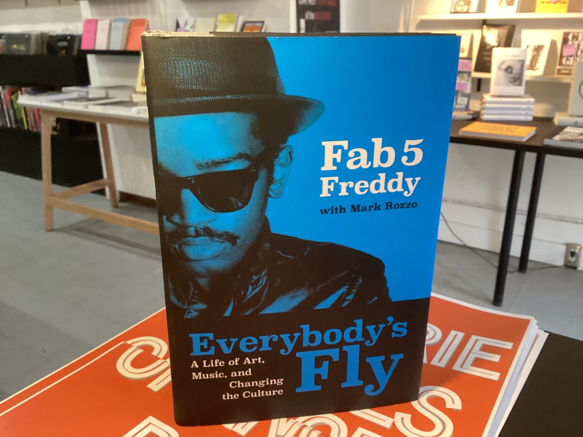 Everybody's Fly: A Life of Art, Music, and Changing the Culture