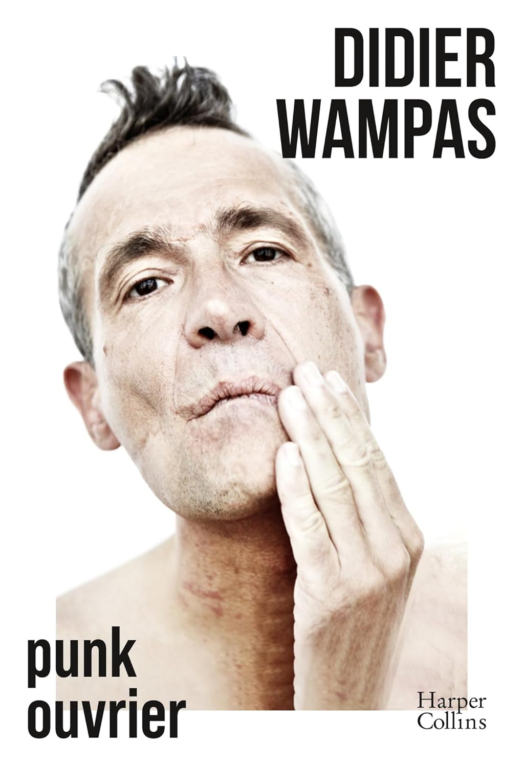 Didier Wampas Punk Ouvrier