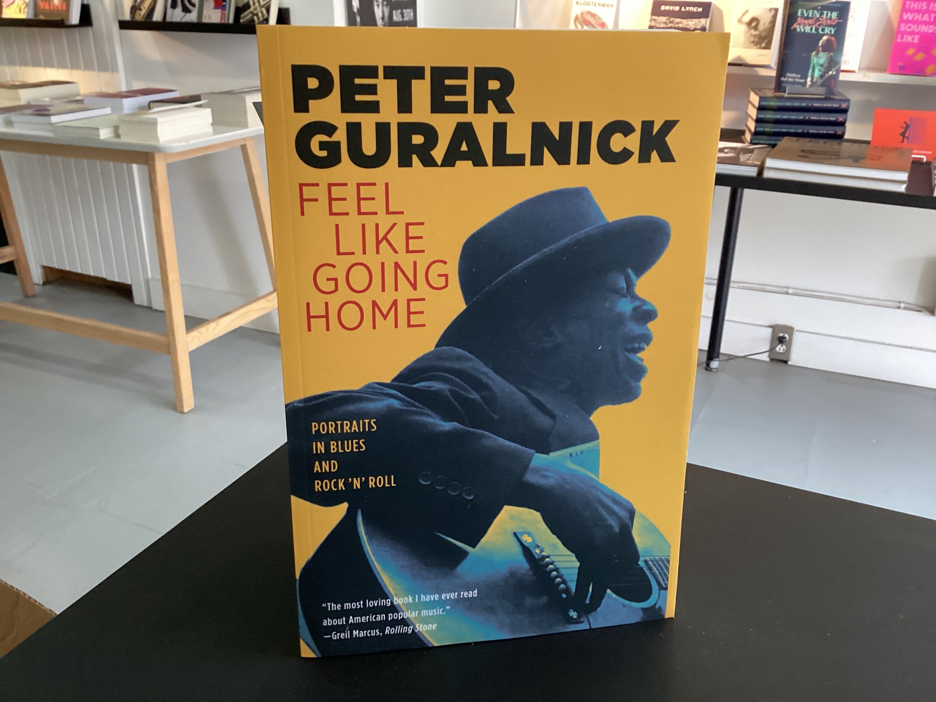 Feel Like Going Home: Portraits In Blues And Rock 'n' Roll