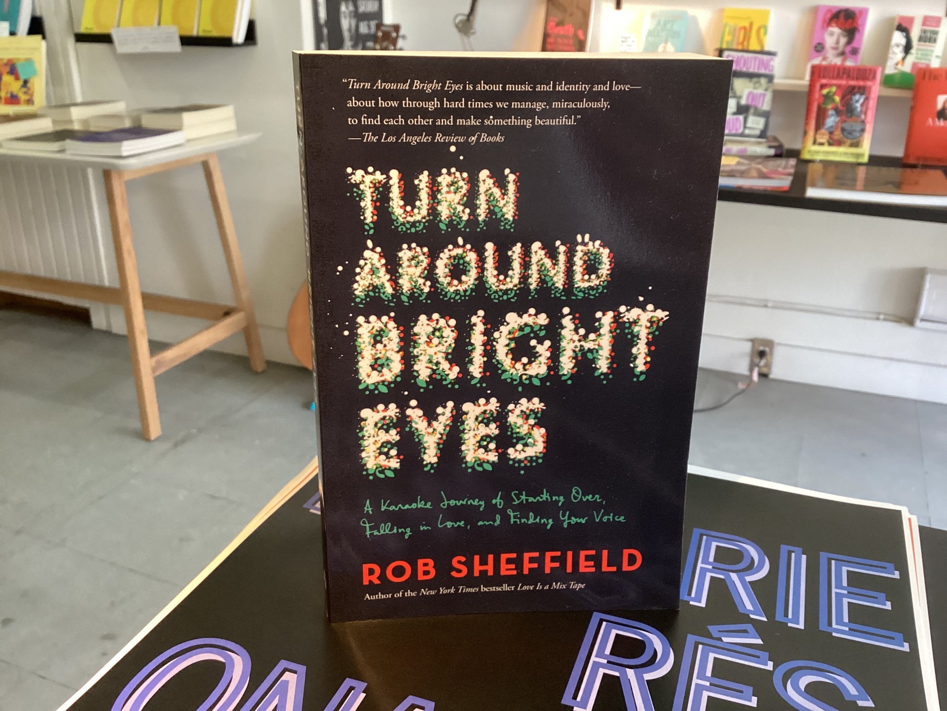 Turn Around Bright Eyes: A Karaoke Journey Of Starting Over, Falling In Love, And Finding Your Voice
