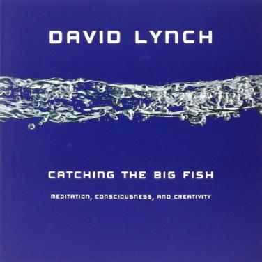 Catching The Big Fish: Meditation, Consciousness, And Creativity: 10th Anniversary Edition