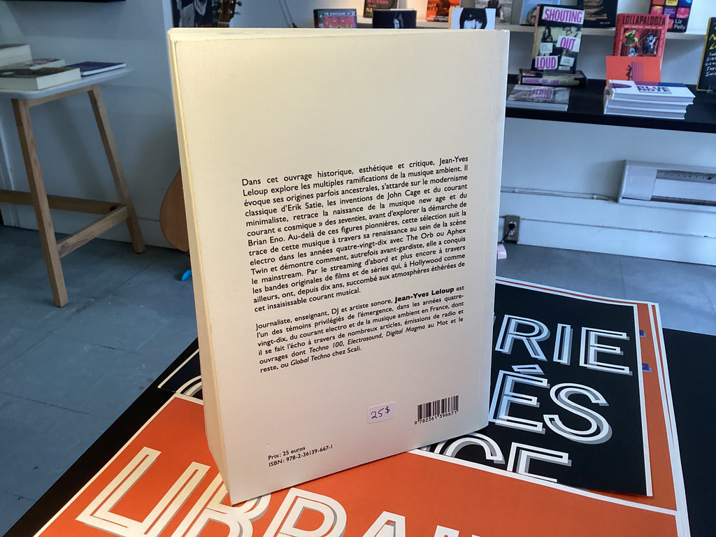 Ambient Music Avant Gardes, New Age, Chill-out et Cinéma