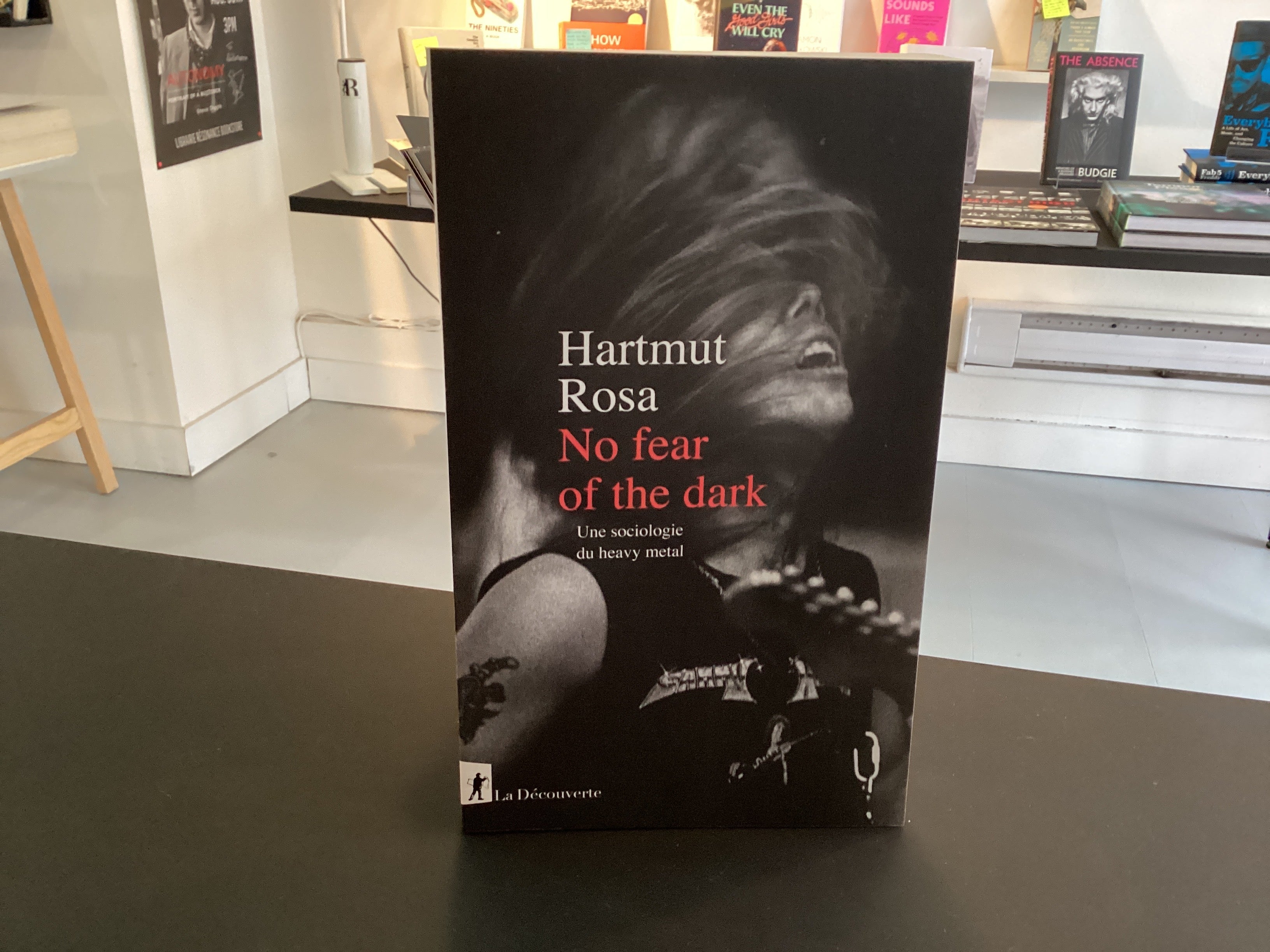 NO Fear of the Dark Une Sociologie du Heavy Metal