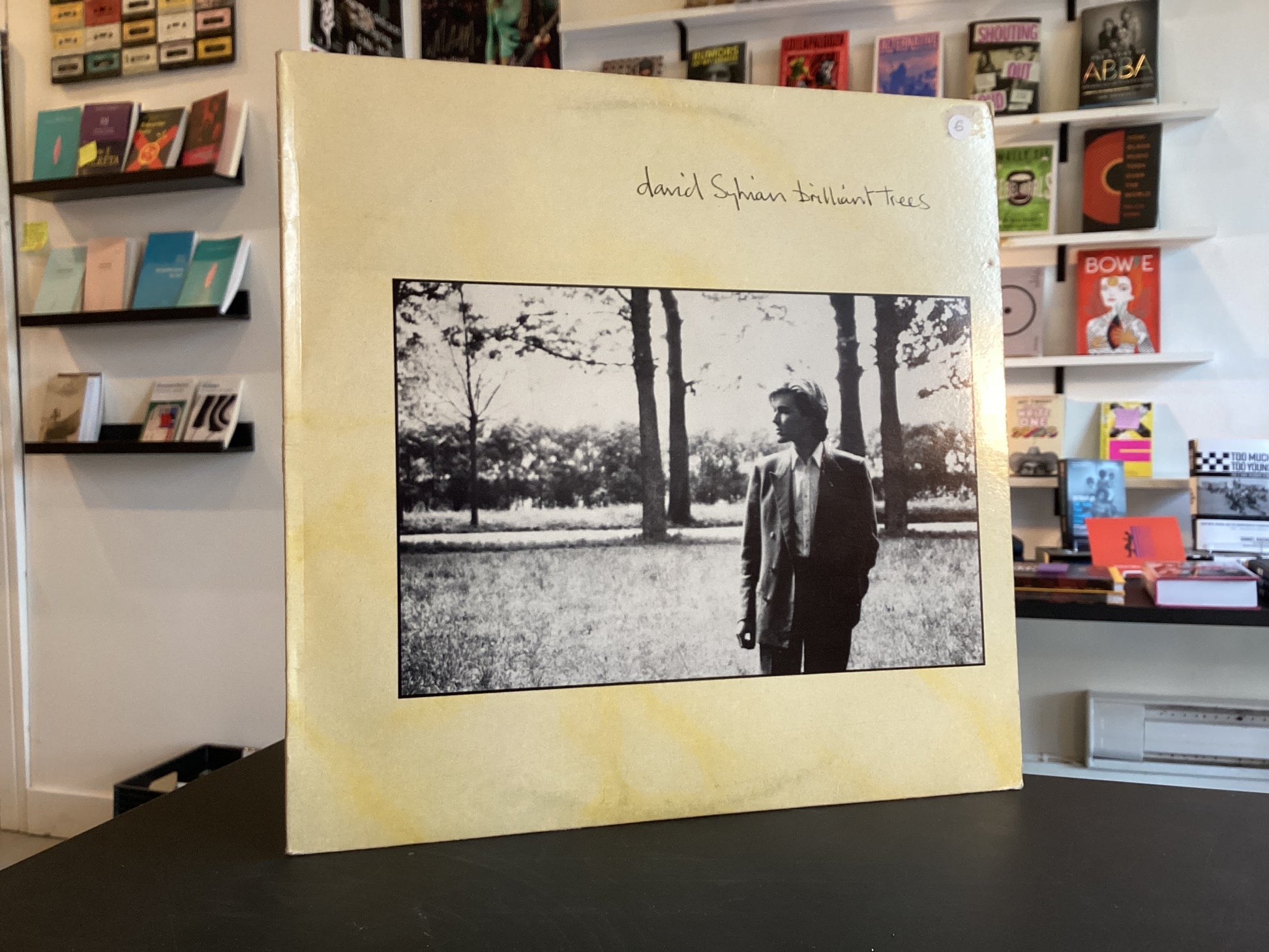 David Sylvian - Brilliant