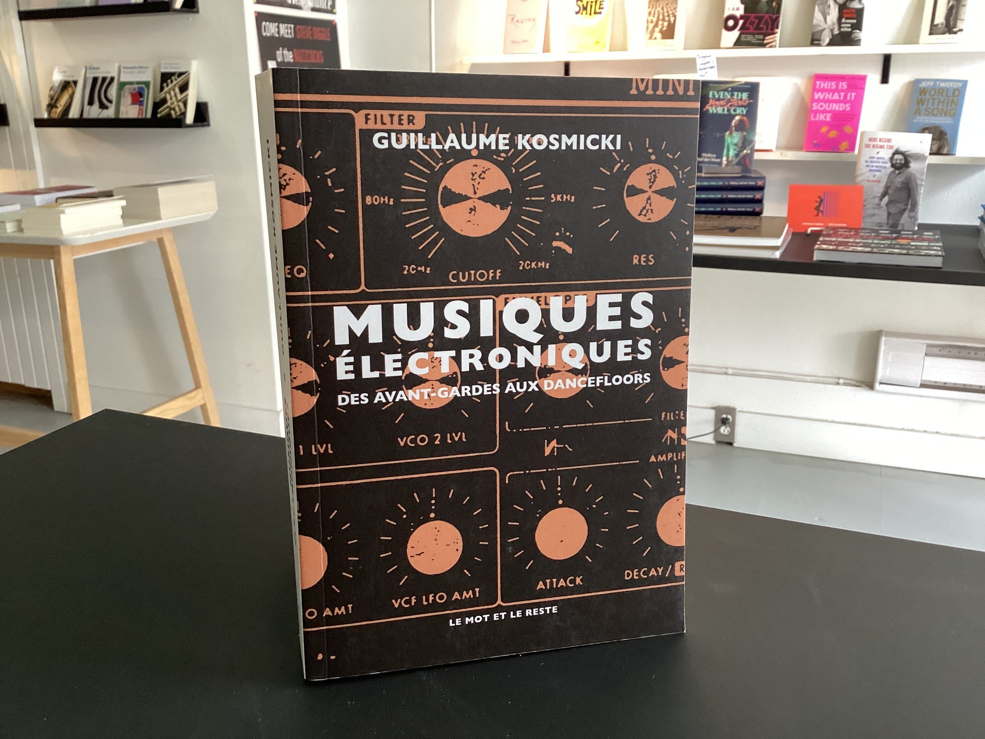 Musiques électroniques: des avant-gardes aux dancefloors