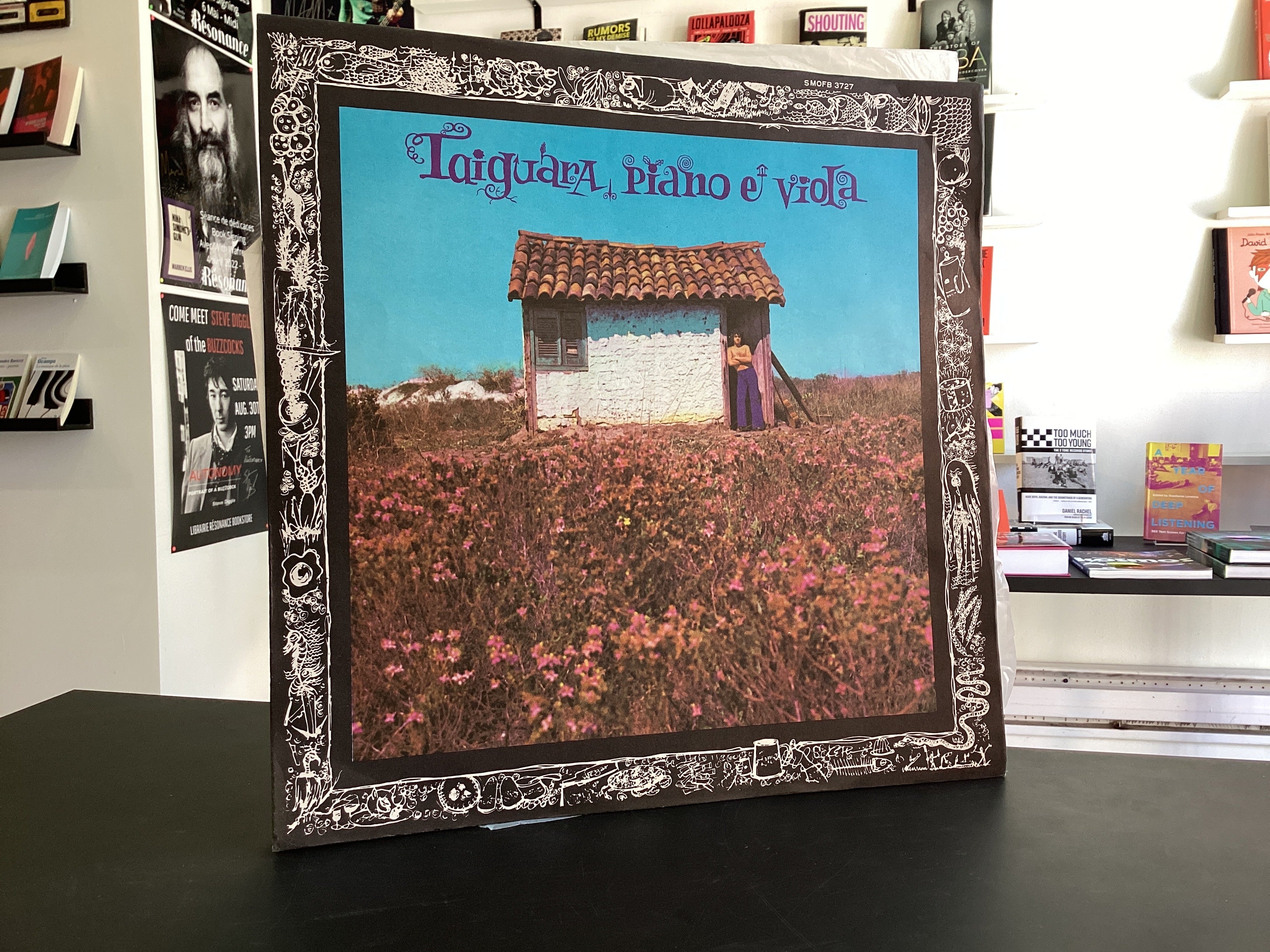 Taiguara	Piano E Viola